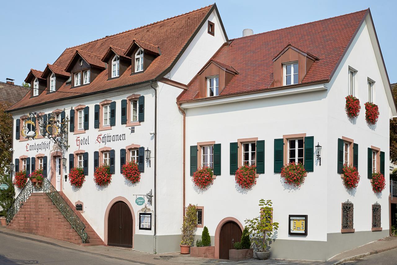 Ferienhaus Rheintalblick Bad Bellingen Eksteriør bilde